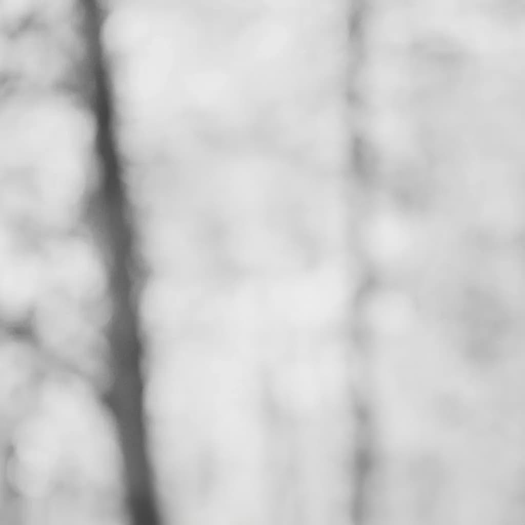 Philemon Wehinger background